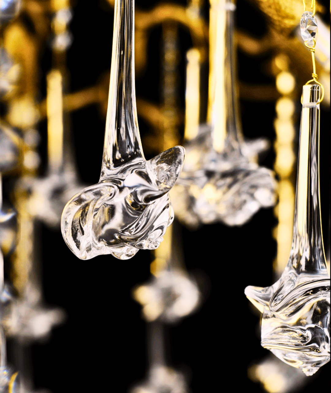 Brugmansia Chandelier Galileo Lights