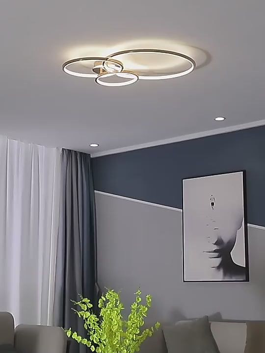 Halo Ceiling Light